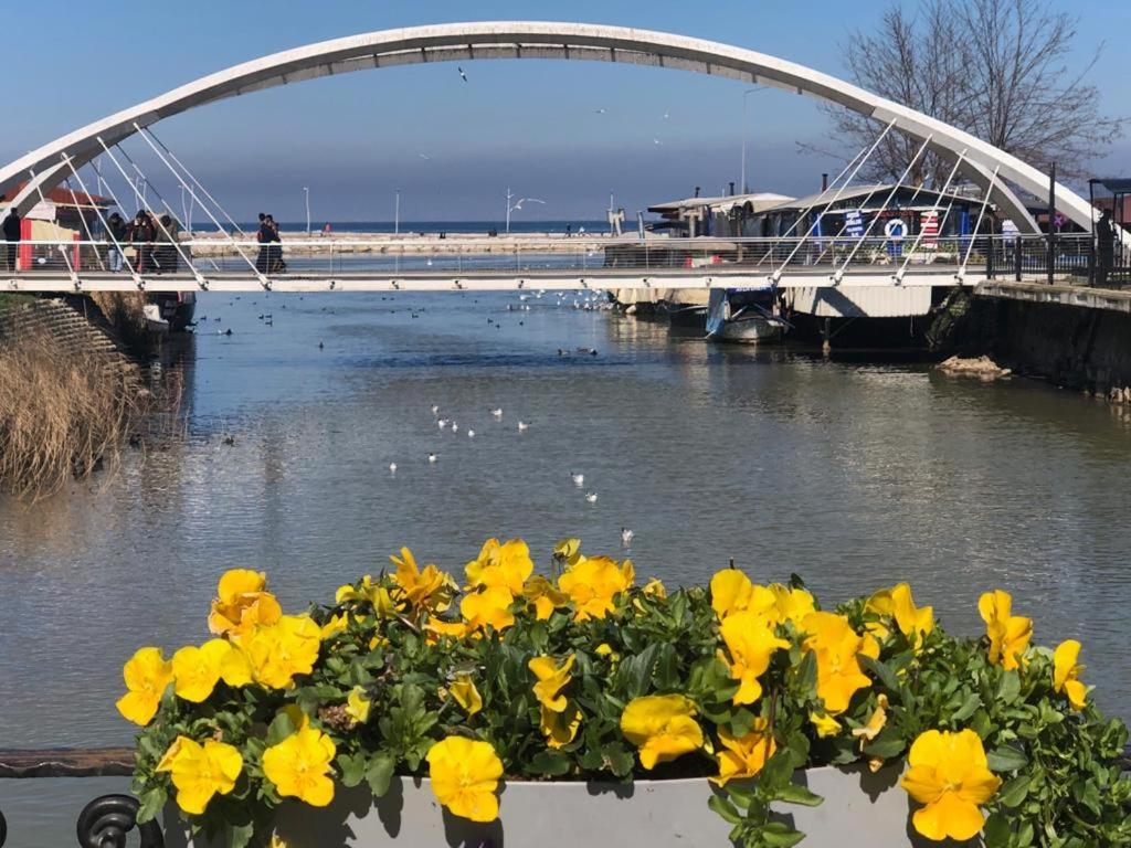 Yalova_Merkez Yalova  Exterior photo